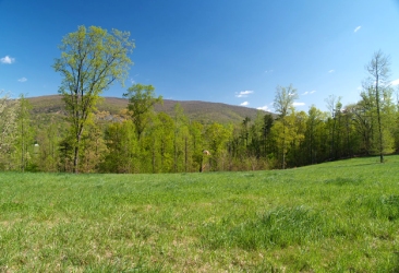 Western Albemarle County Land for Sale
