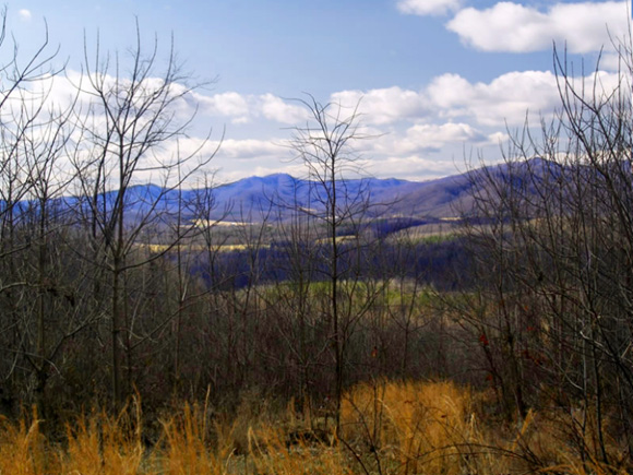 Nelson County Land for sale