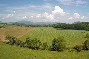 Greene County Virginia farm for Sale