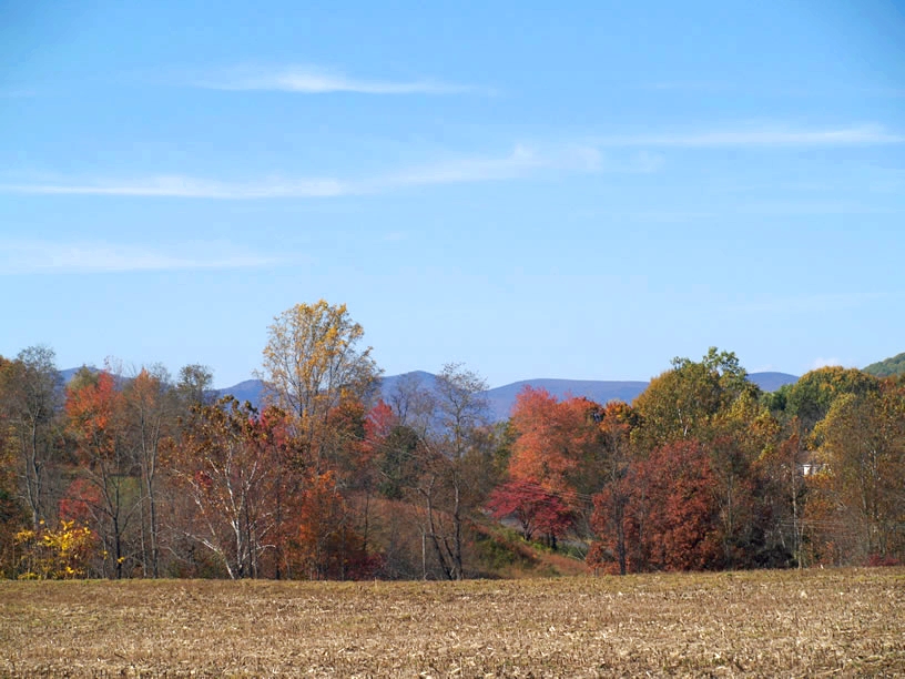 Madison County Va Land for sale