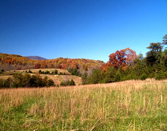Nelson County Farm