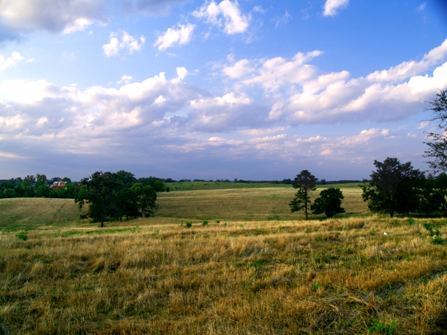 Virginia Cattle Farm
