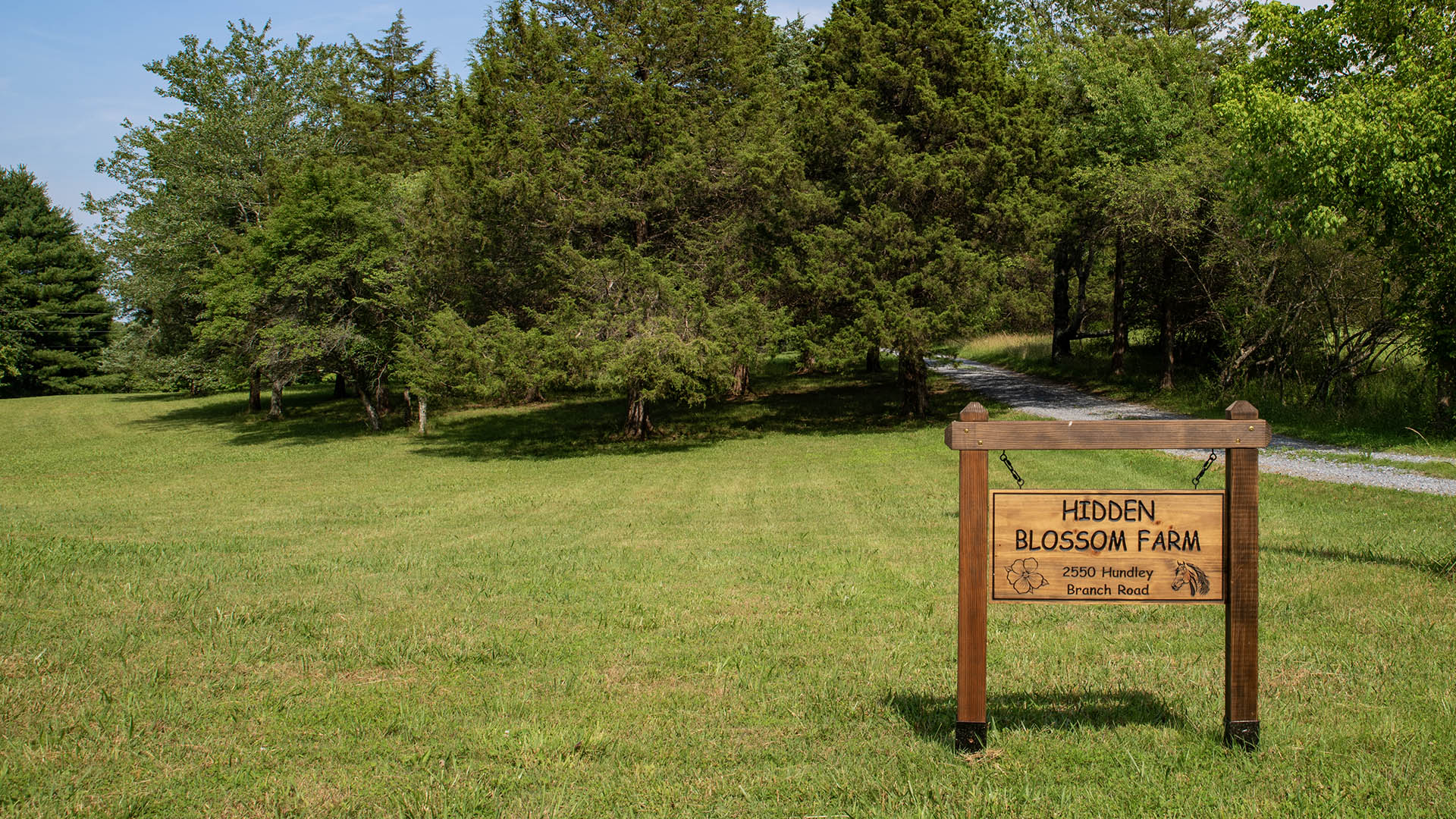 horse farm for sale near Charlottesville VA