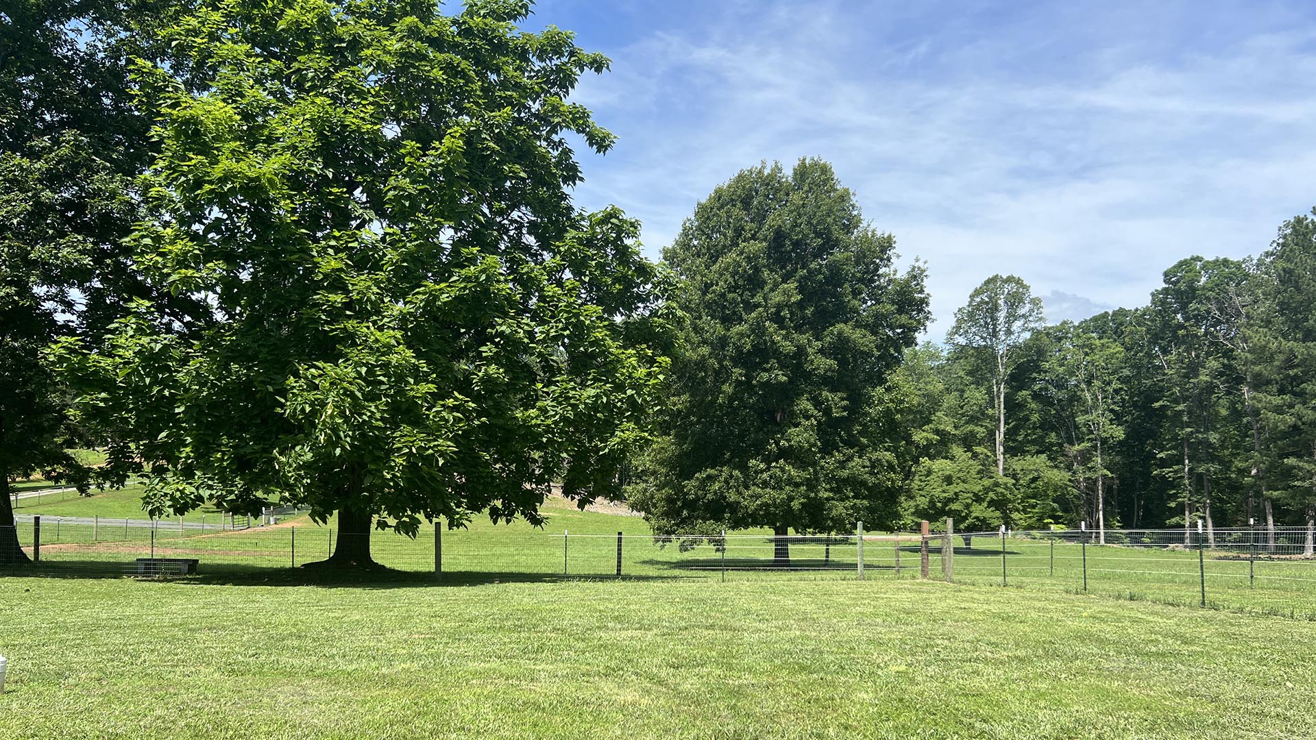 horse farm for sale near Charlottesville VA