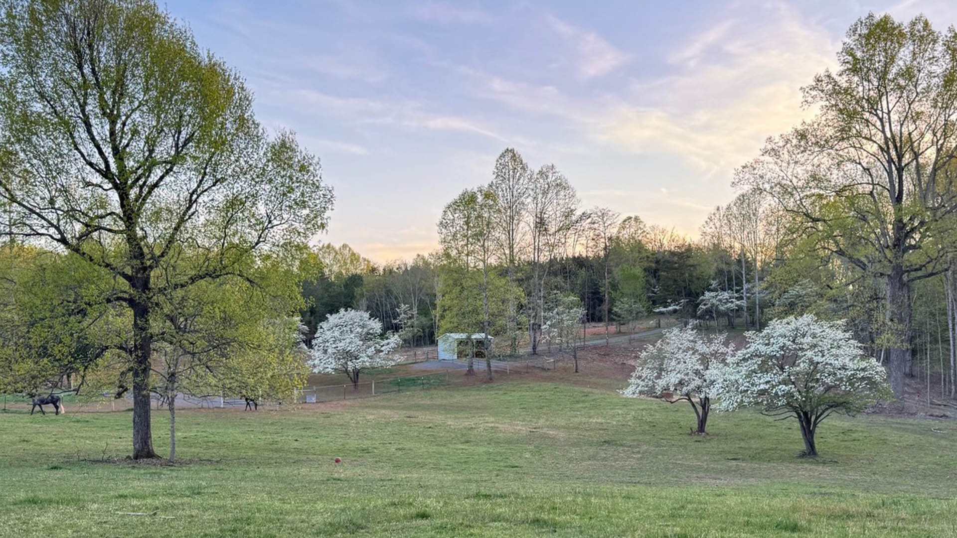 horse farm for sale near Charlottesville VA