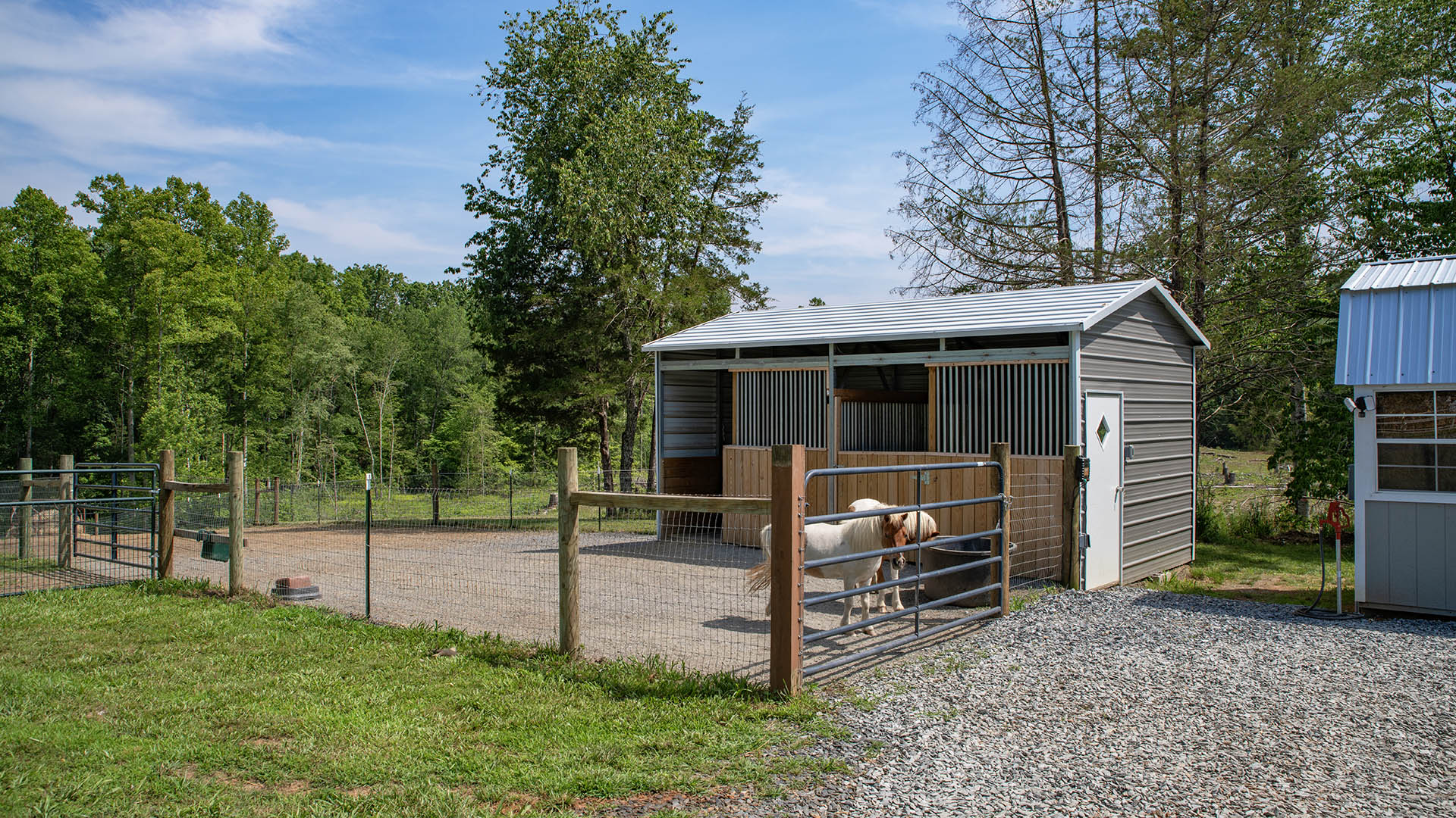 horse farm for sale near Charlottesville VA