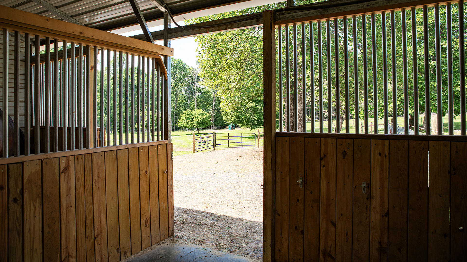 horse farm for sale near Charlottesville VA