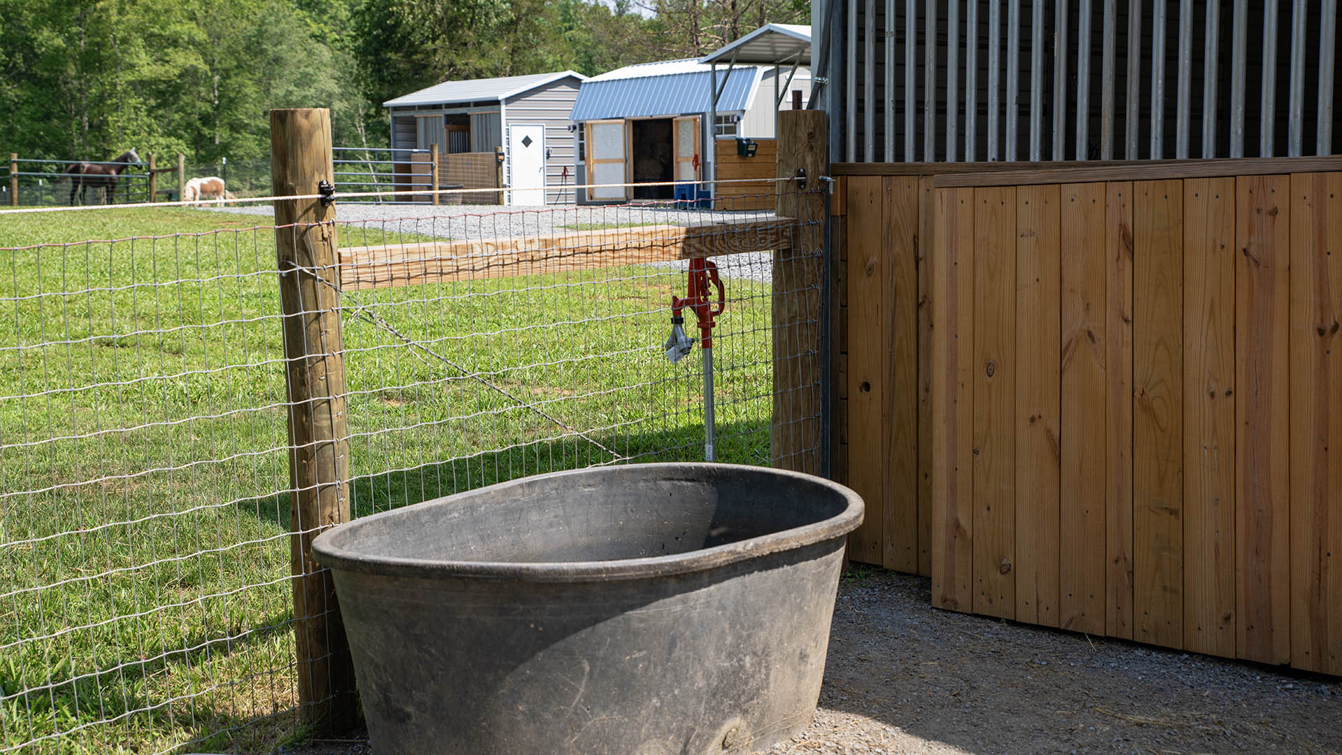 horse farm for sale near Charlottesville VA