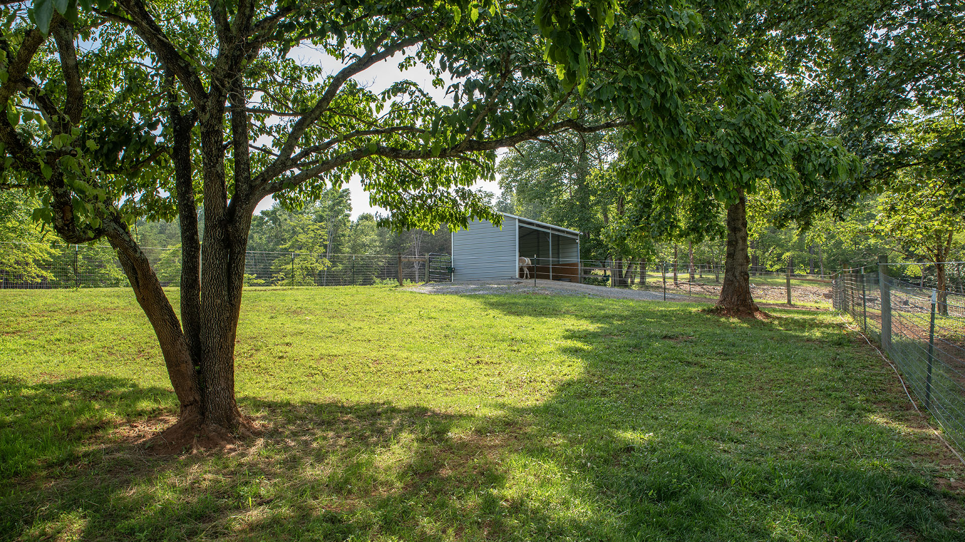 horse farm for sale near Charlottesville VA