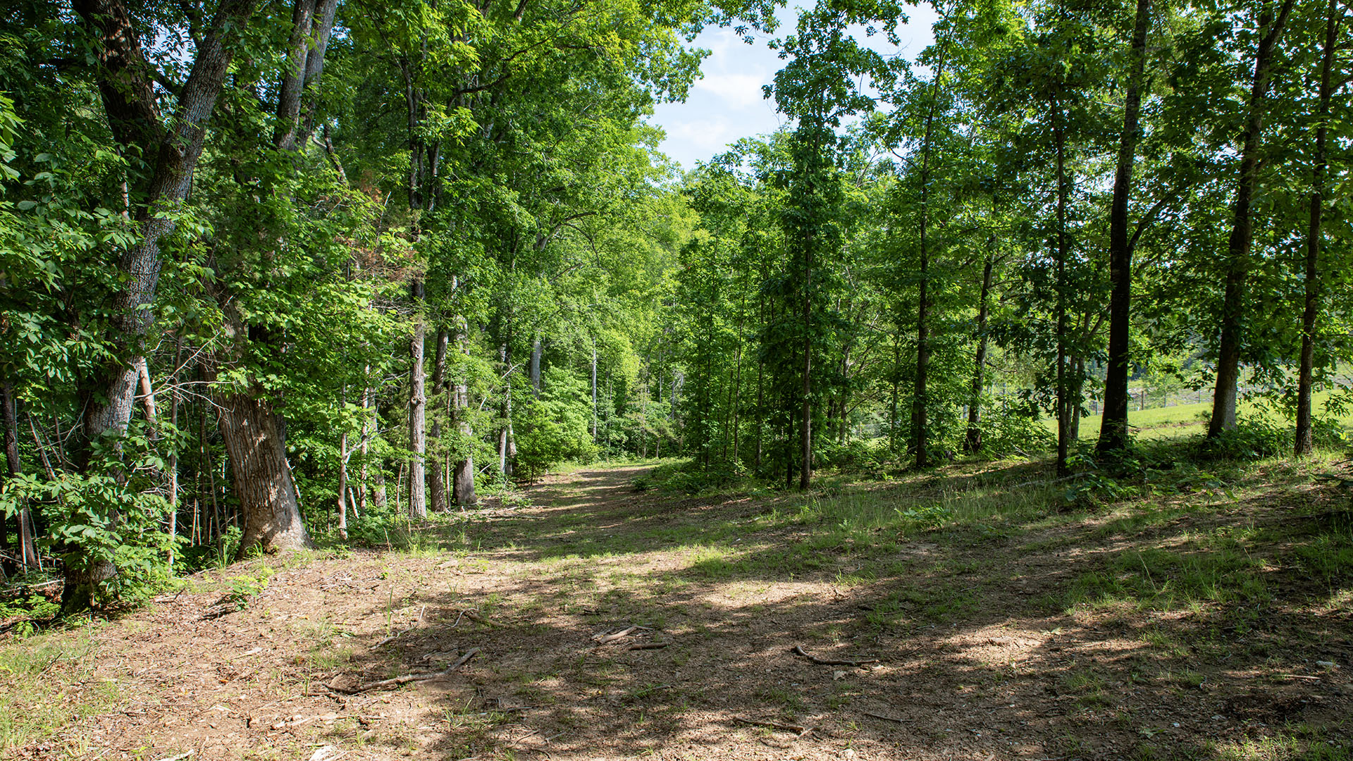 horse farm for sale near Charlottesville VA