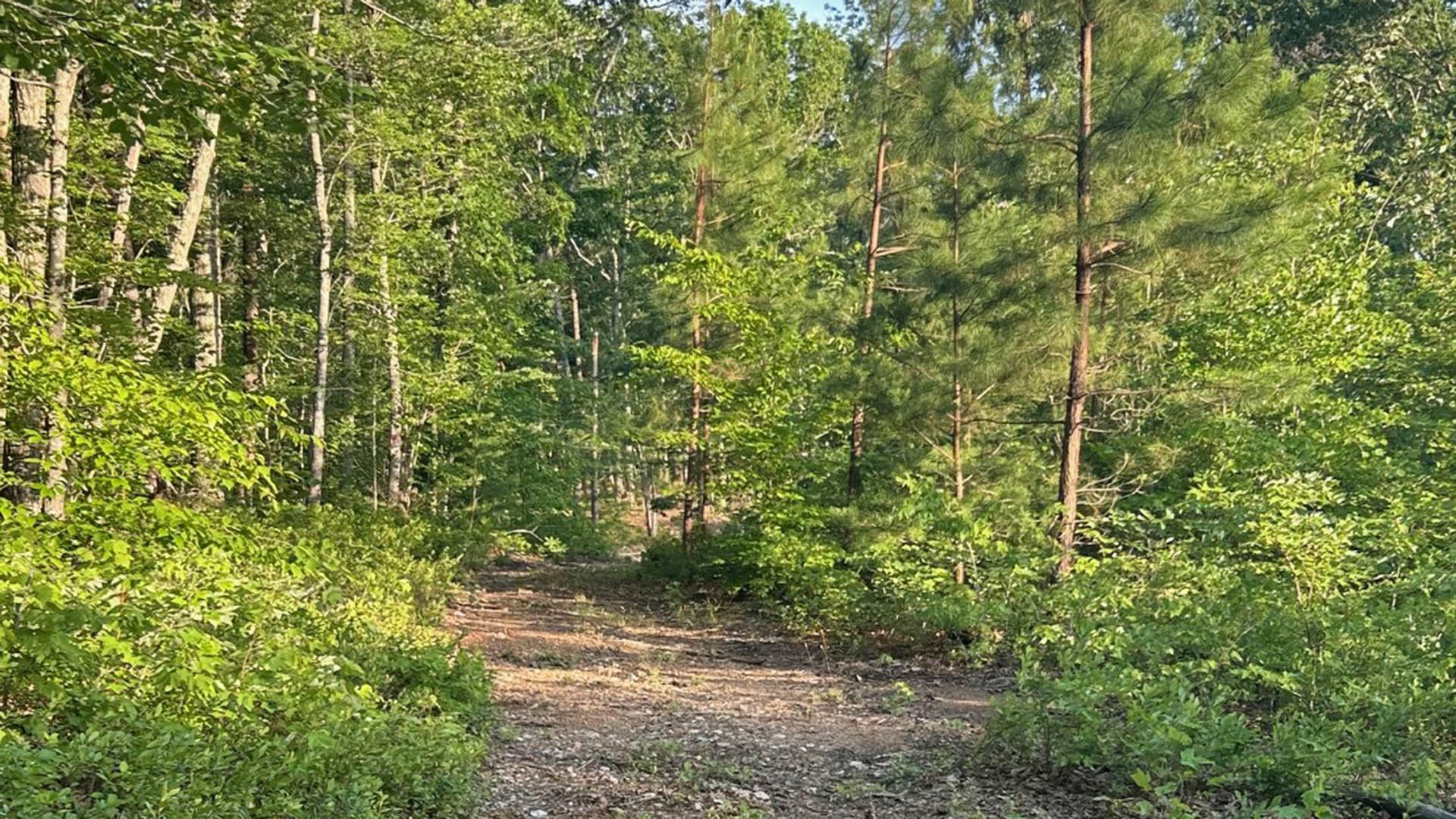 horse farm for sale near Charlottesville VA