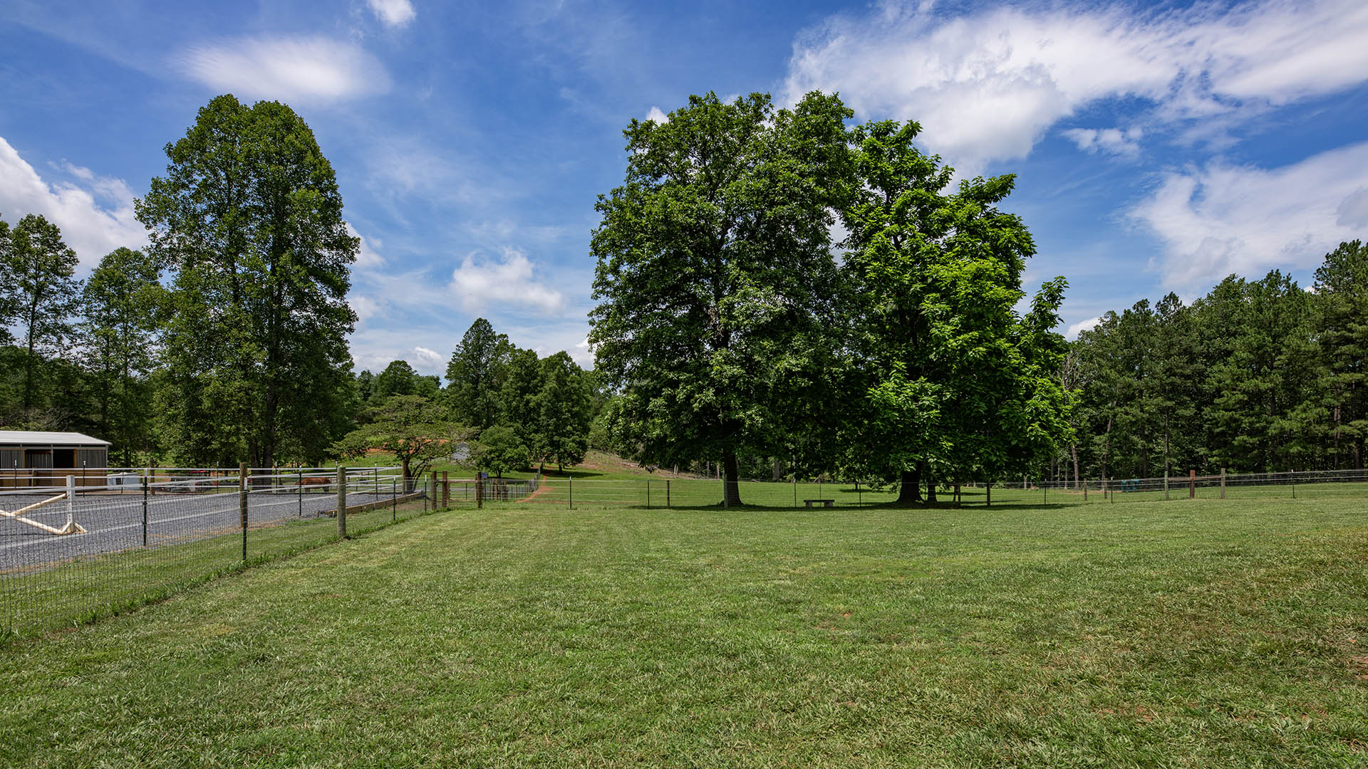 horse farm for sale near Charlottesville VA