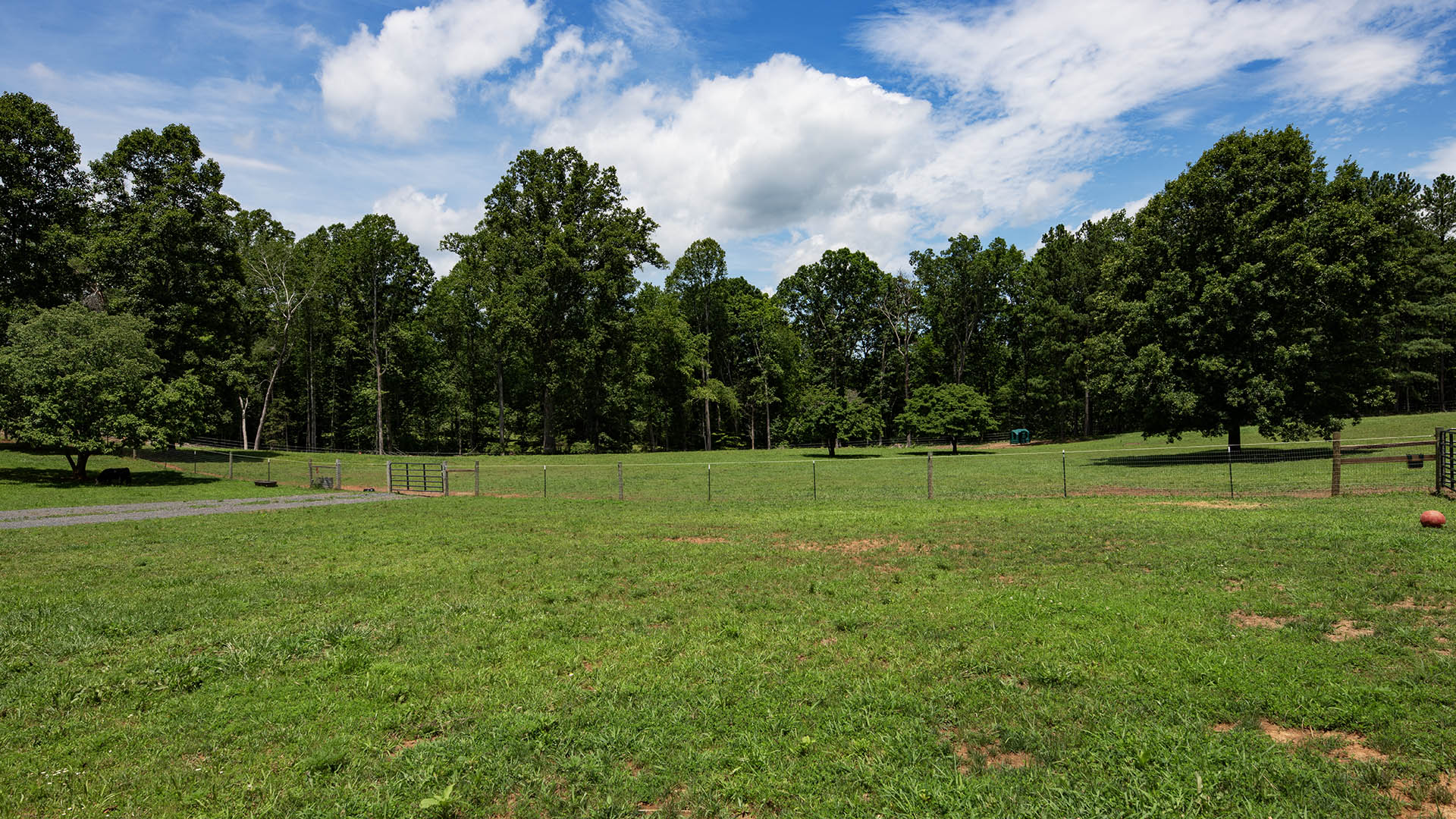 horse farm for sale near Charlottesville VA
