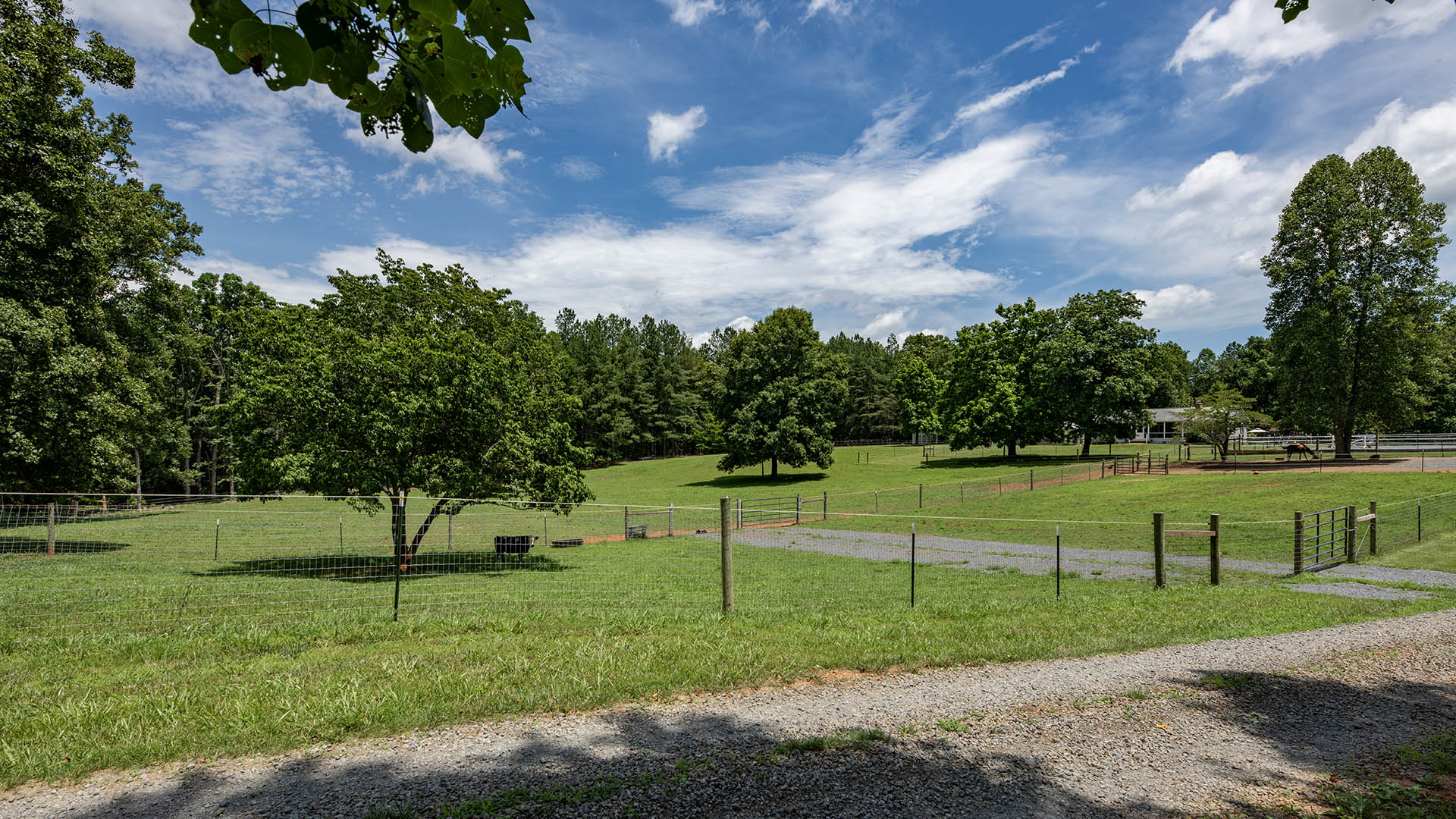horse farm for sale near Charlottesville VA