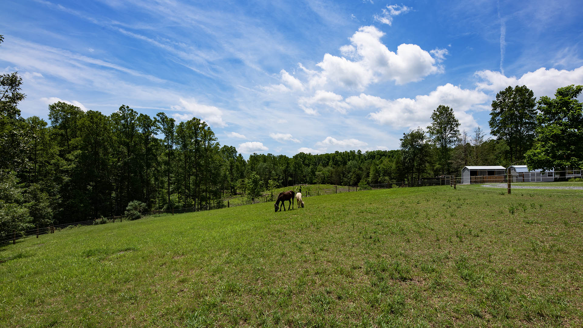 horse farm for sale near Charlottesville VA