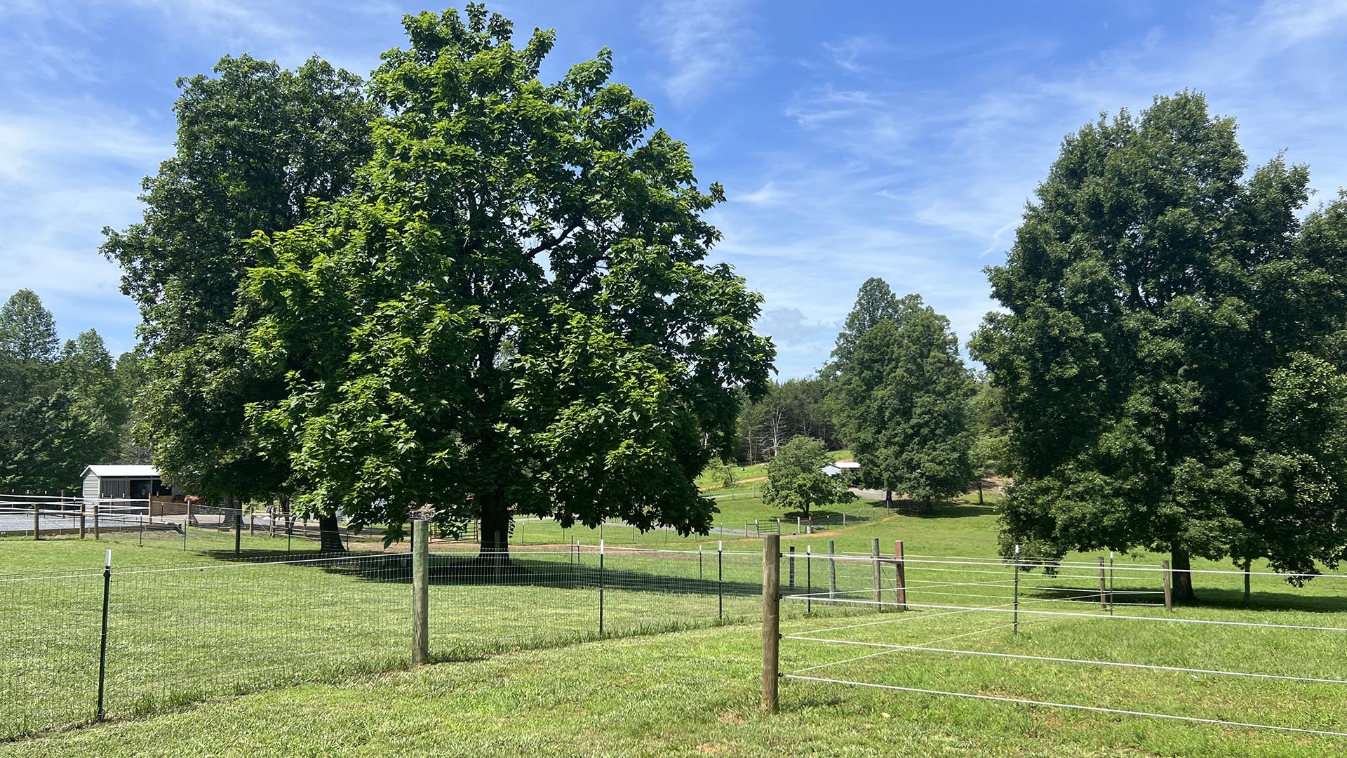 horse farm for sale near Charlottesville VA