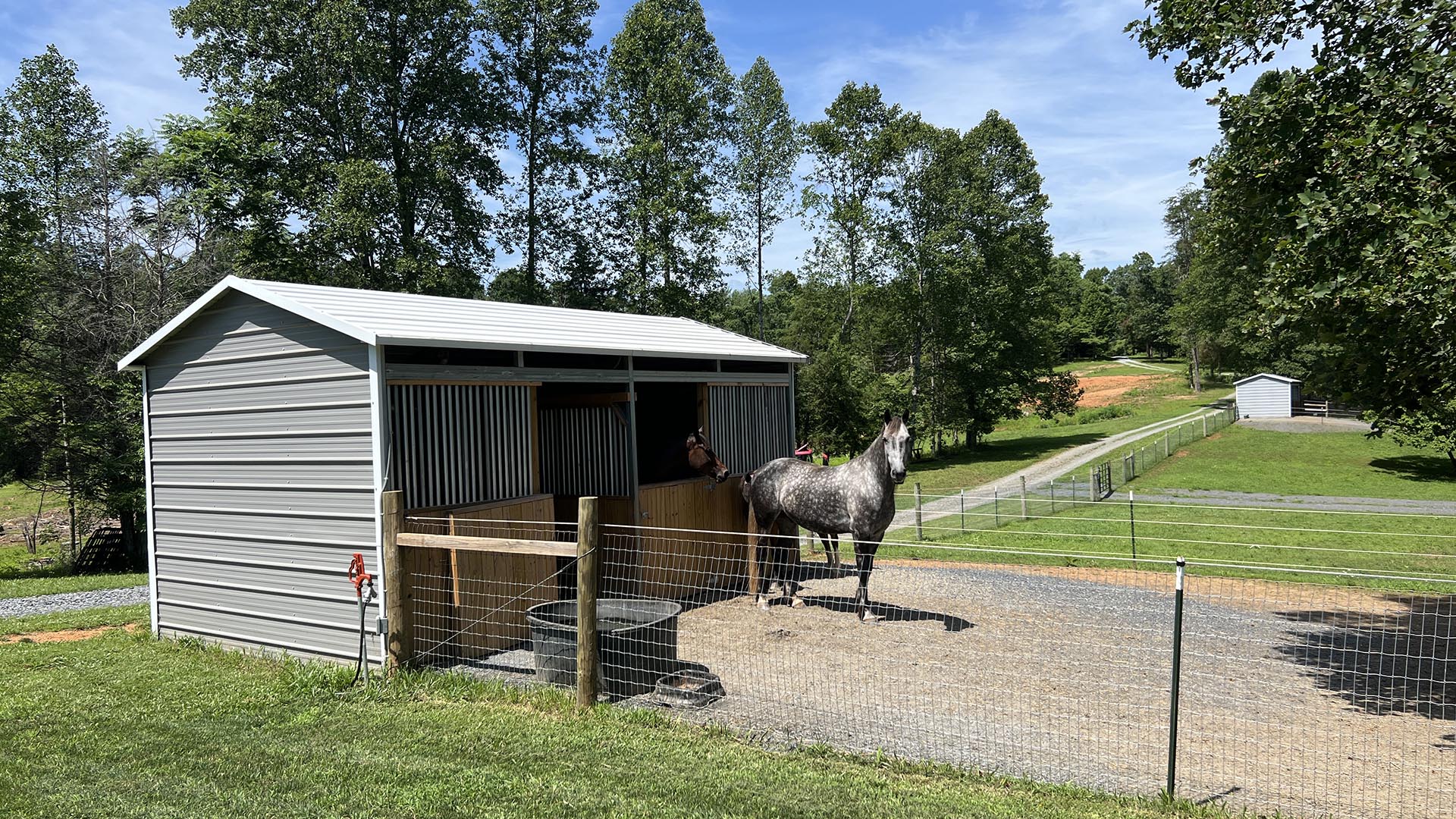 horse farm for sale near Charlottesville VA