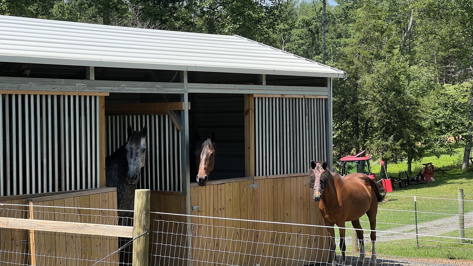 horse farm for sale near Charlottesville VA