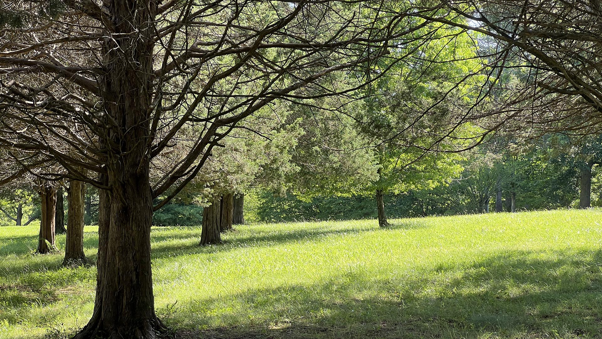 horse farm for sale near Charlottesville VA