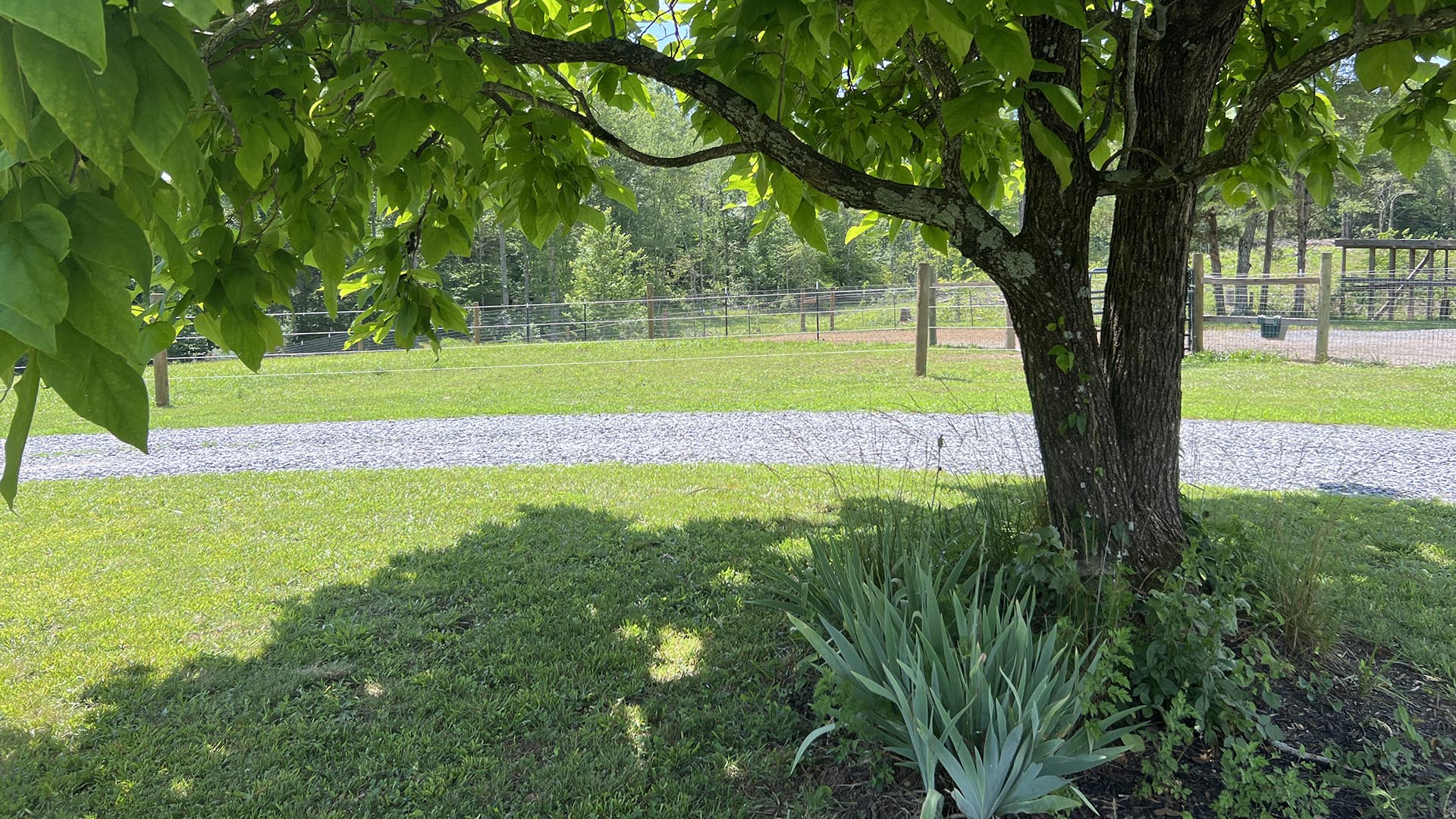horse farm for sale near Charlottesville VA