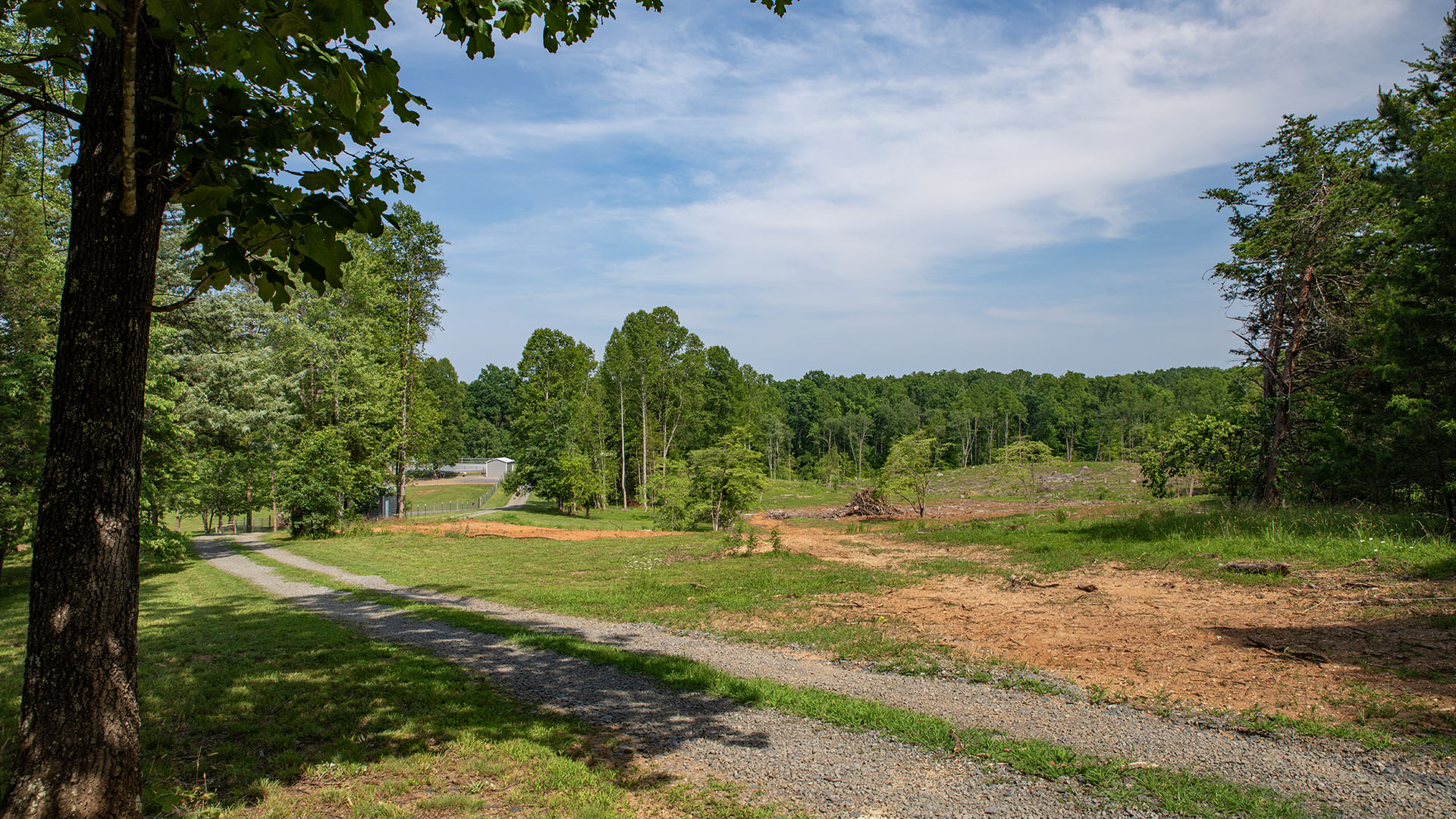 horse farm for sale near Charlottesville VA