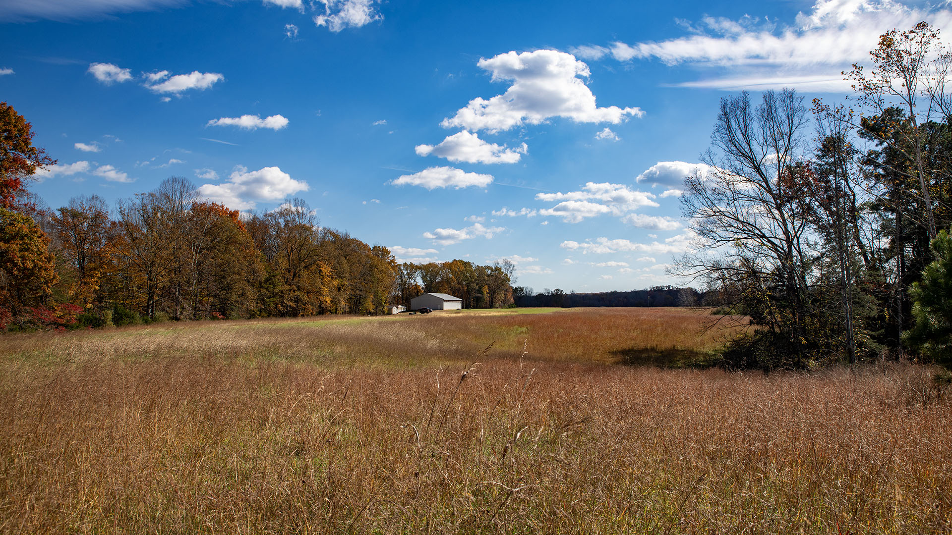 Private airstrip for sale in Virginia