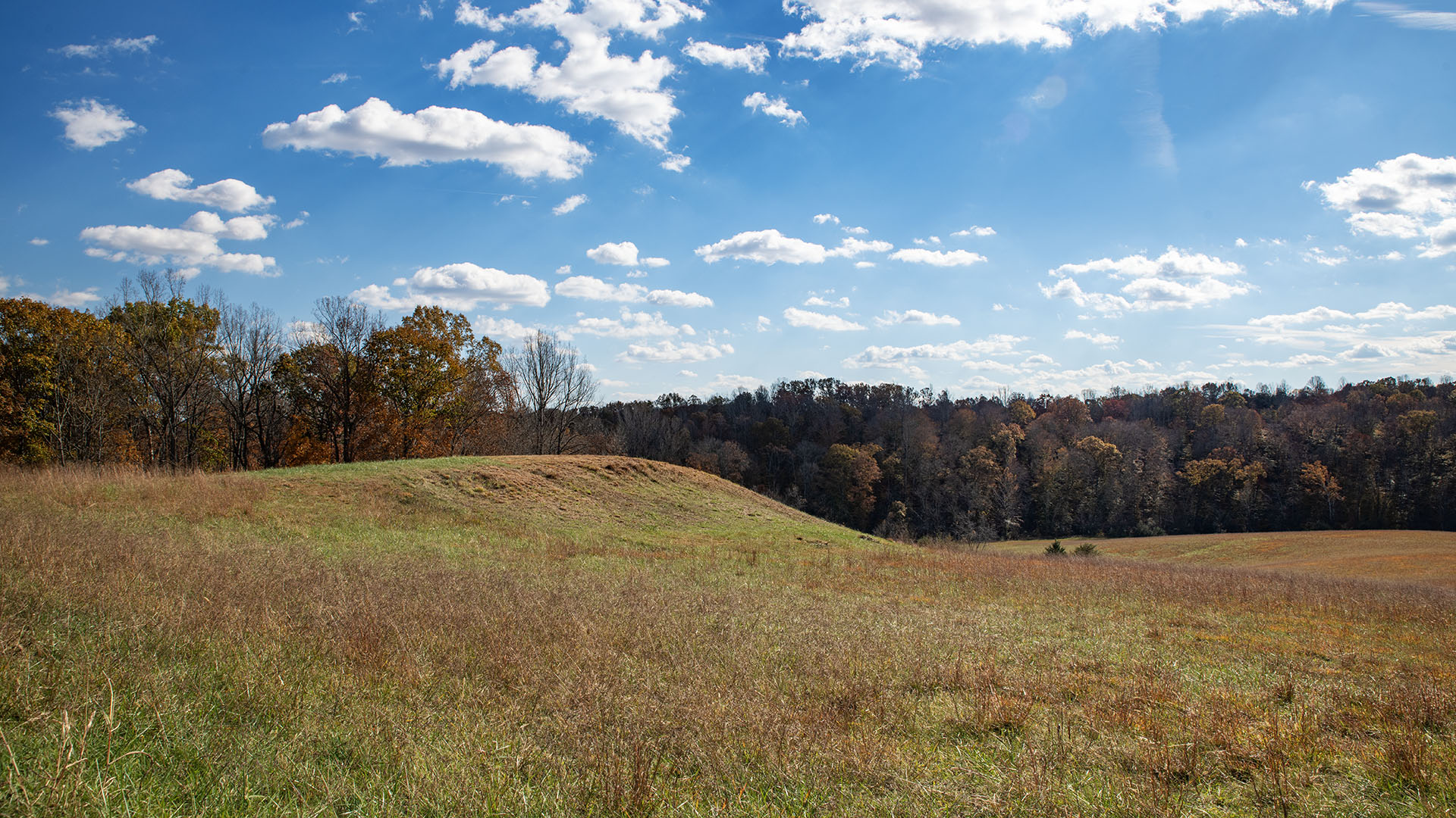 Private airstrip for sale in Virginia