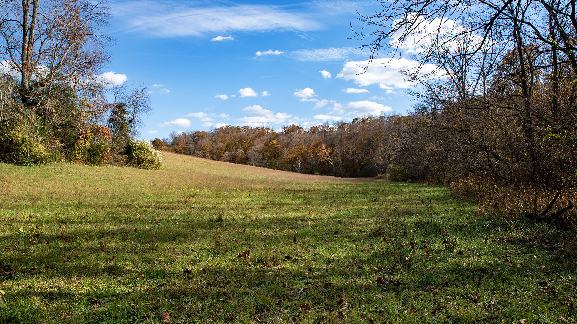 Private airstrip for sale in Virginia