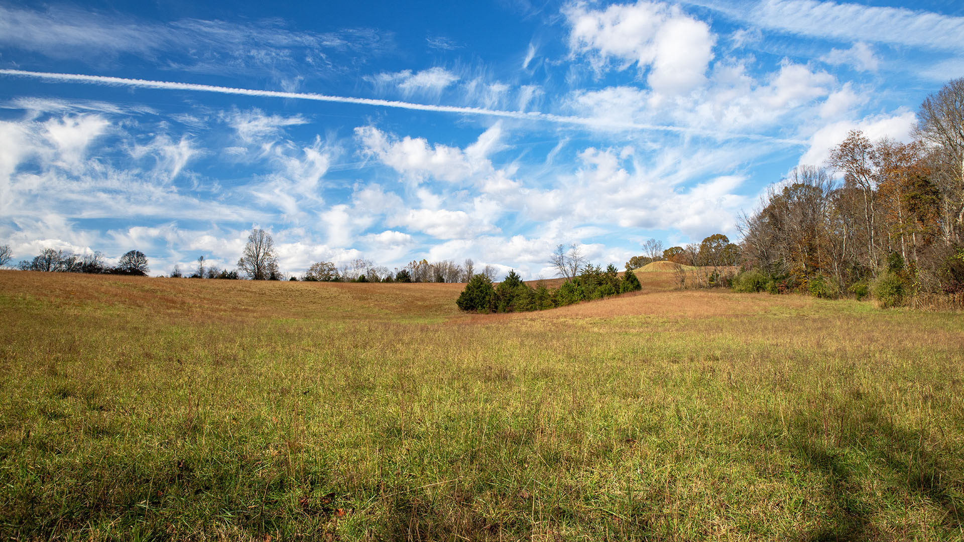 Private airstrip for sale in Virginia