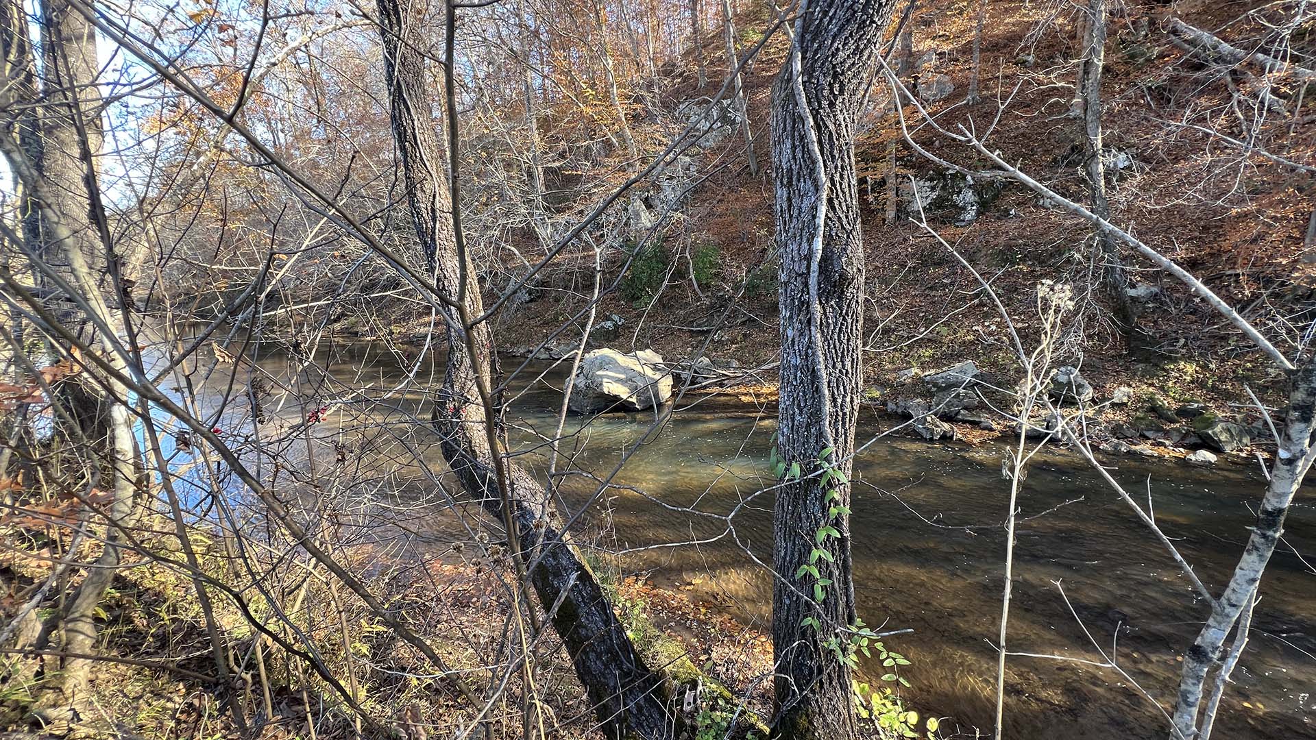 Private airstrip for sale in Virginia