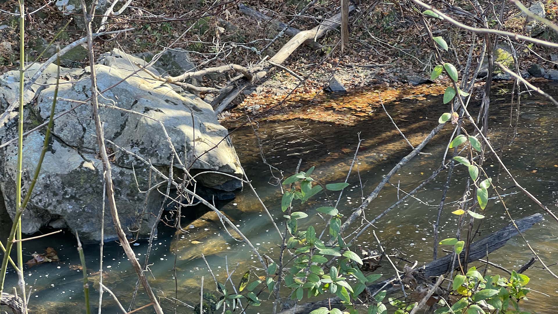 Private airstrip for sale in Virginia