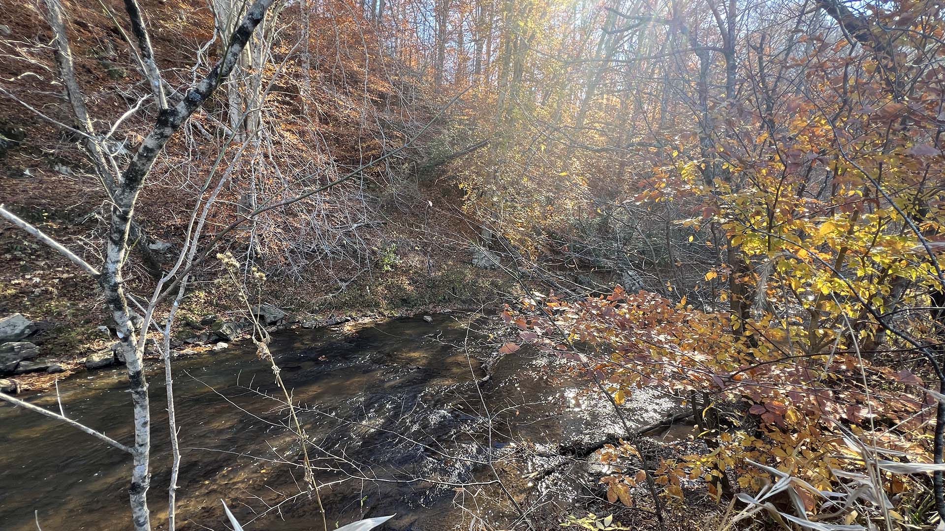 Private airstrip for sale in Virginia