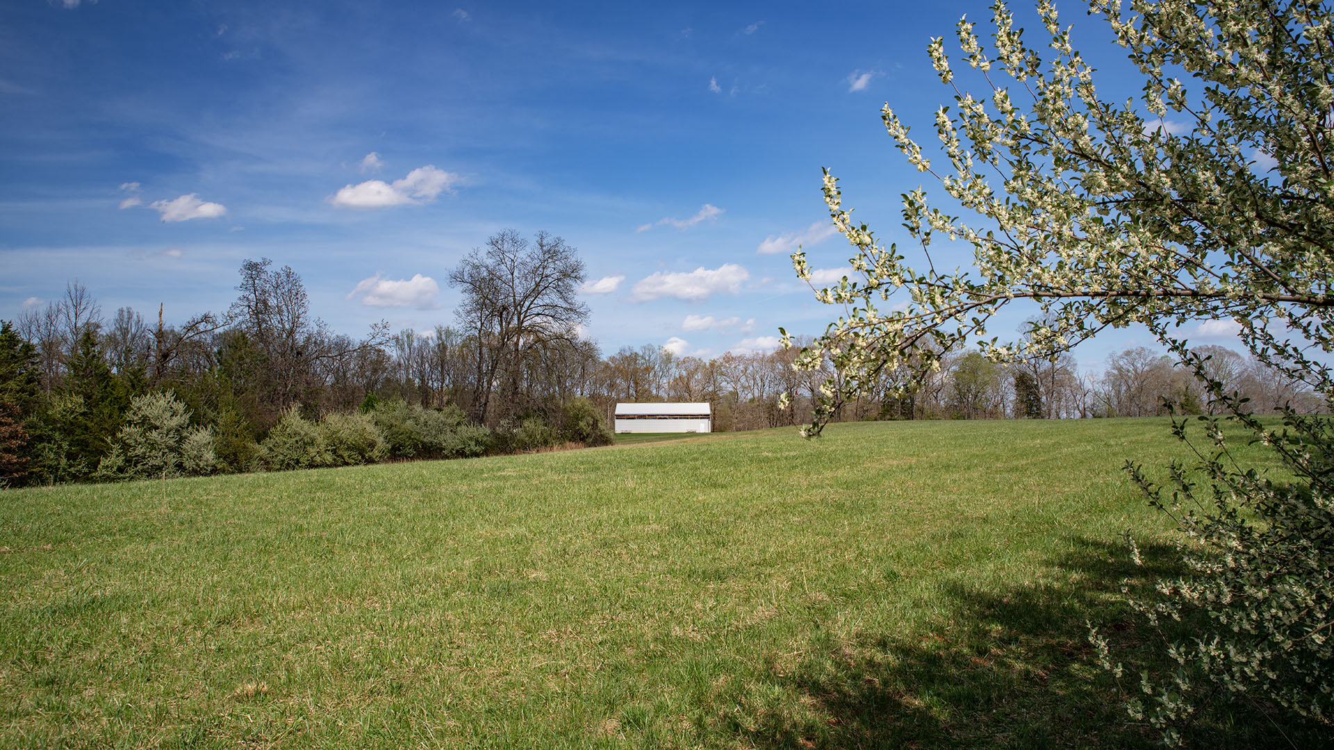 Private airstrip for sale in Virginia