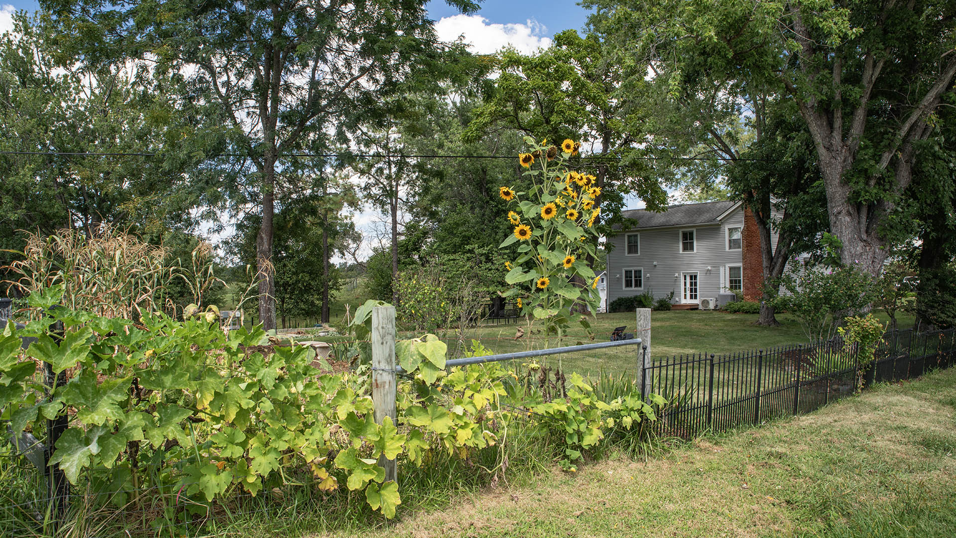 small farm for sale in Staunton Virginia