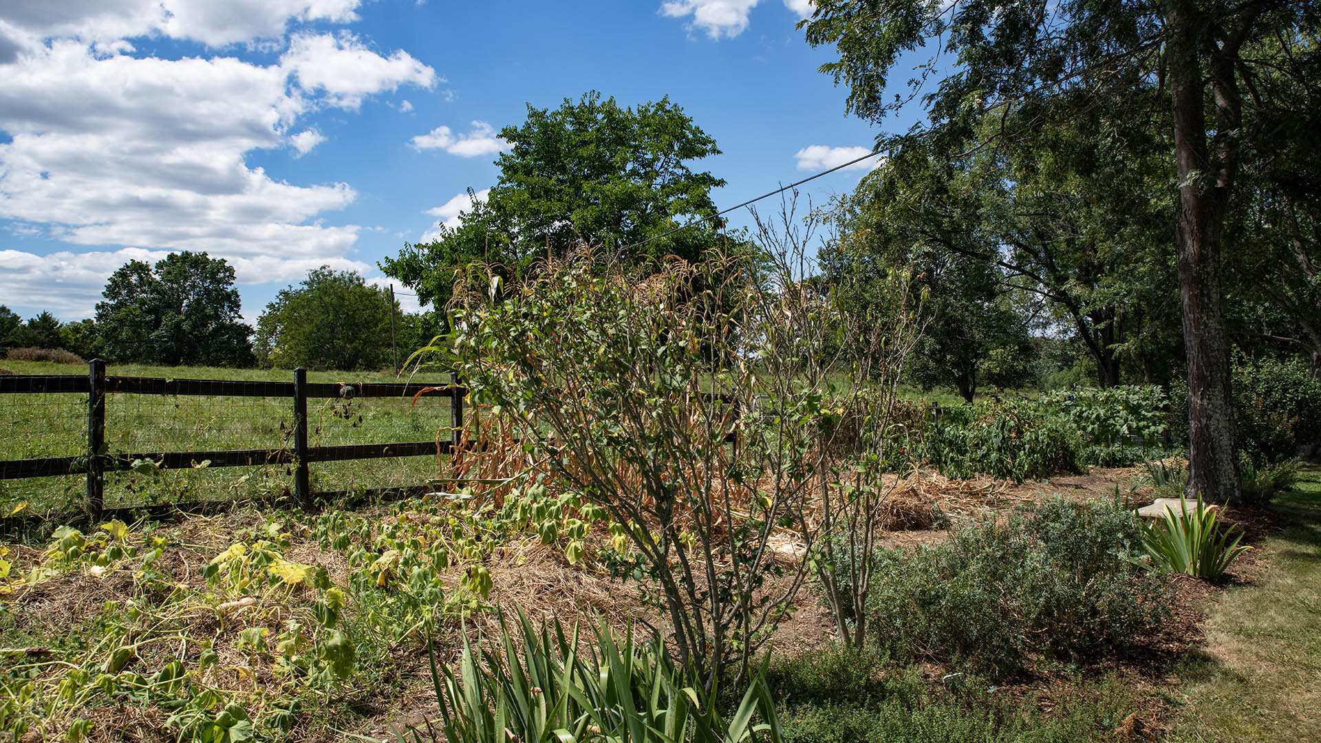 small farm for sale in Staunton Virginia
