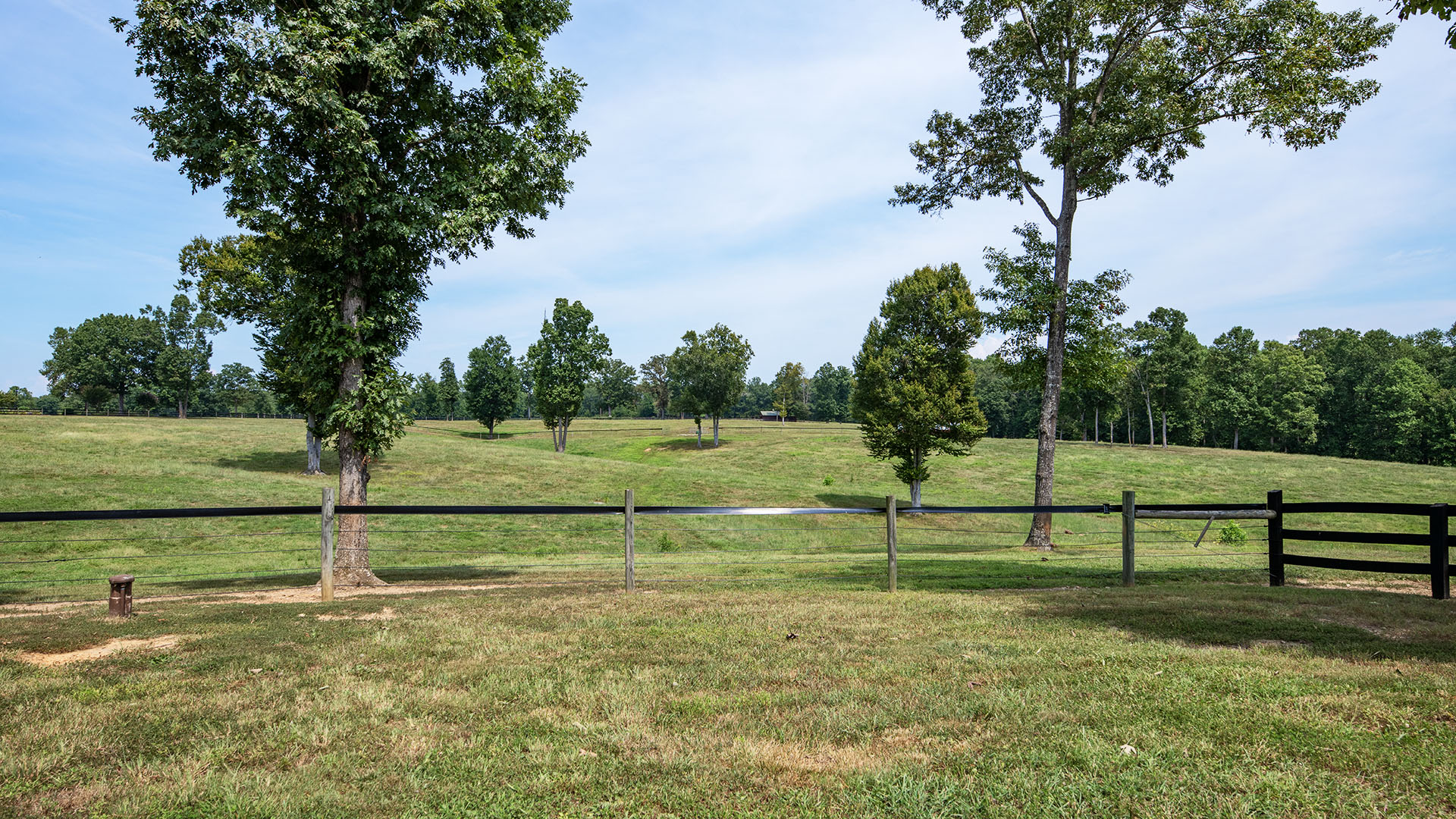 horse pastures at Louisa County VA farm with open fields and fencing
