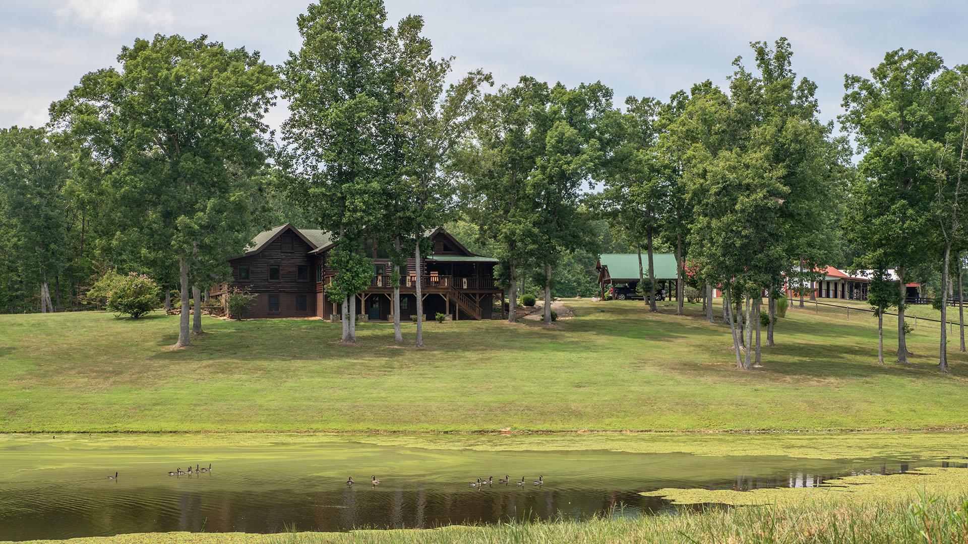 spring fed pond at Louisa VA log home and horse farm