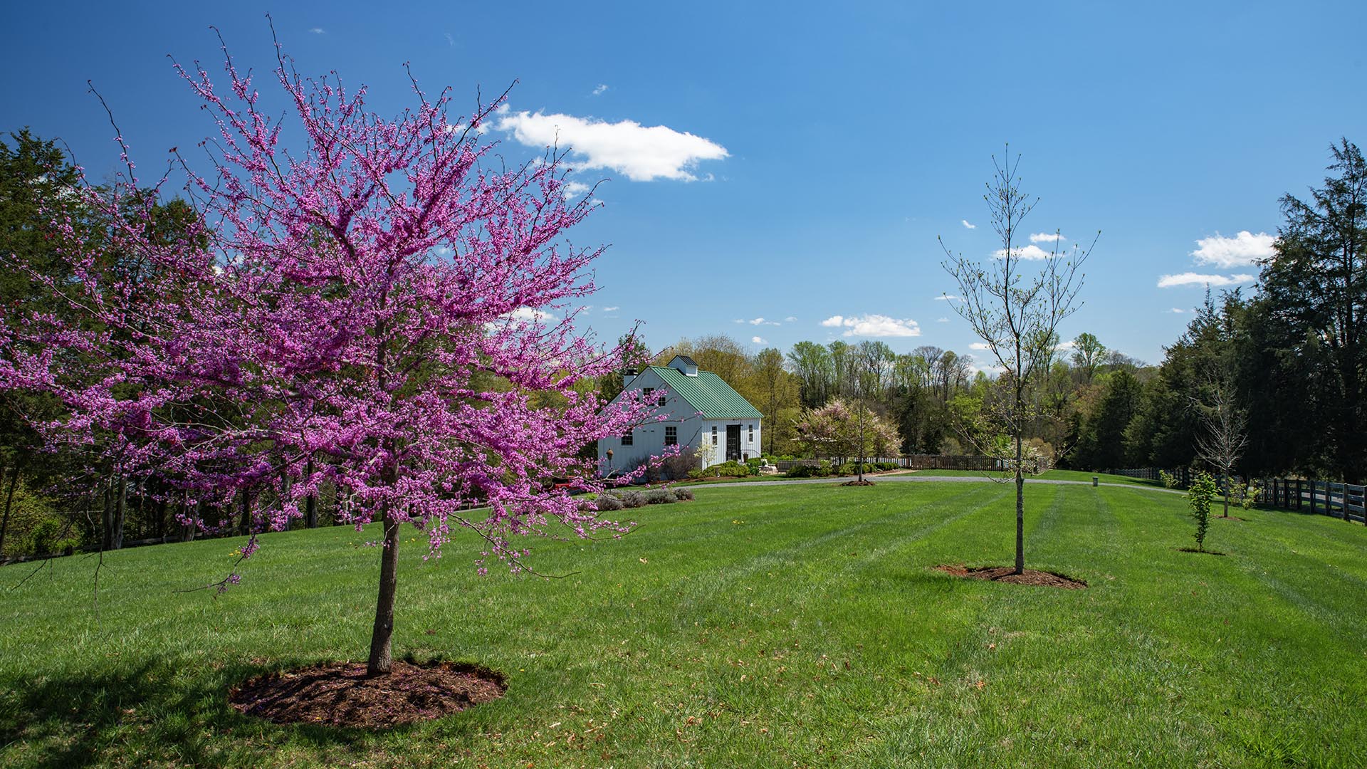 Riverfront home for sale in Madison County VA