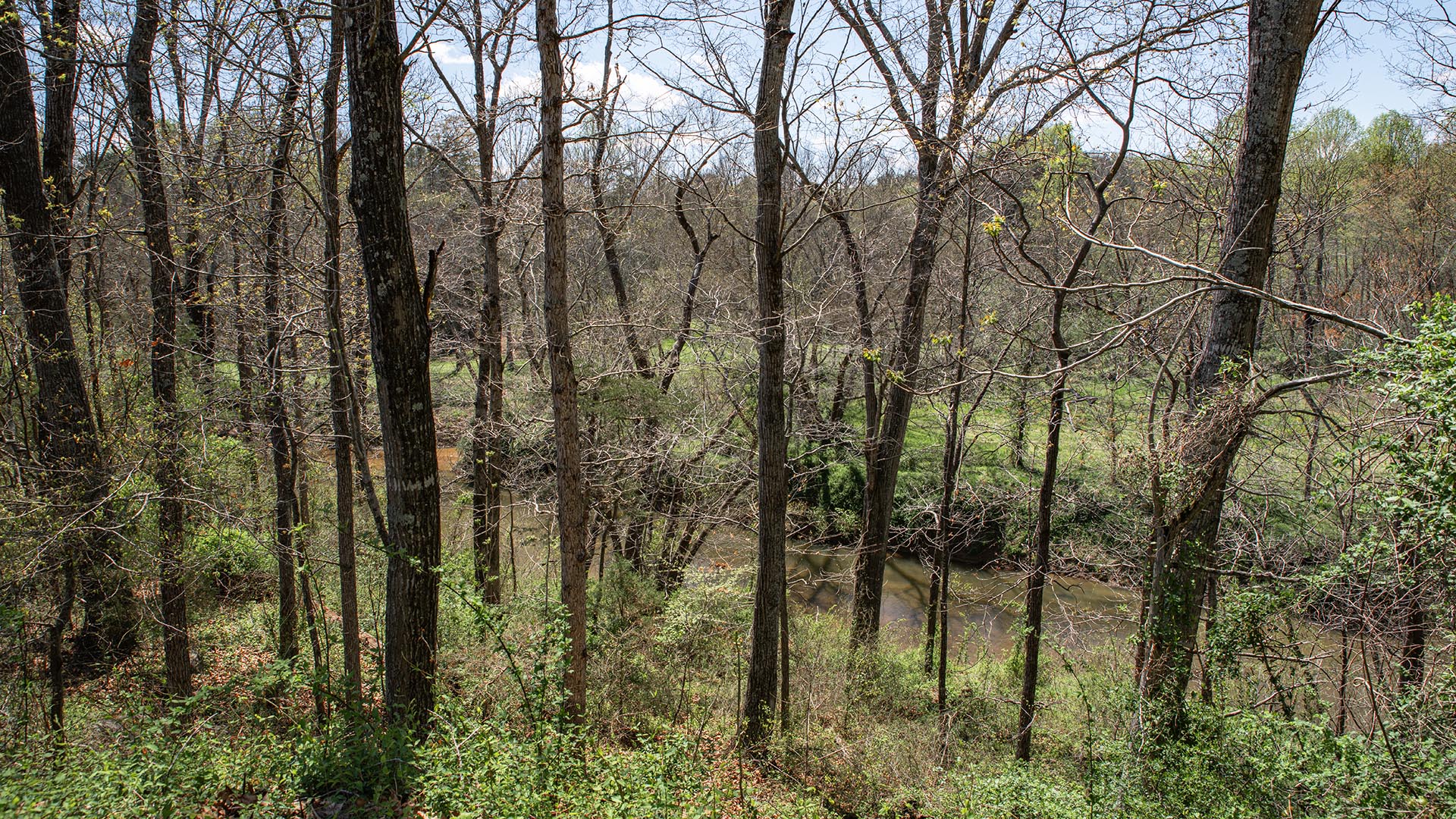 Riverfront home for sale in Madison County VA