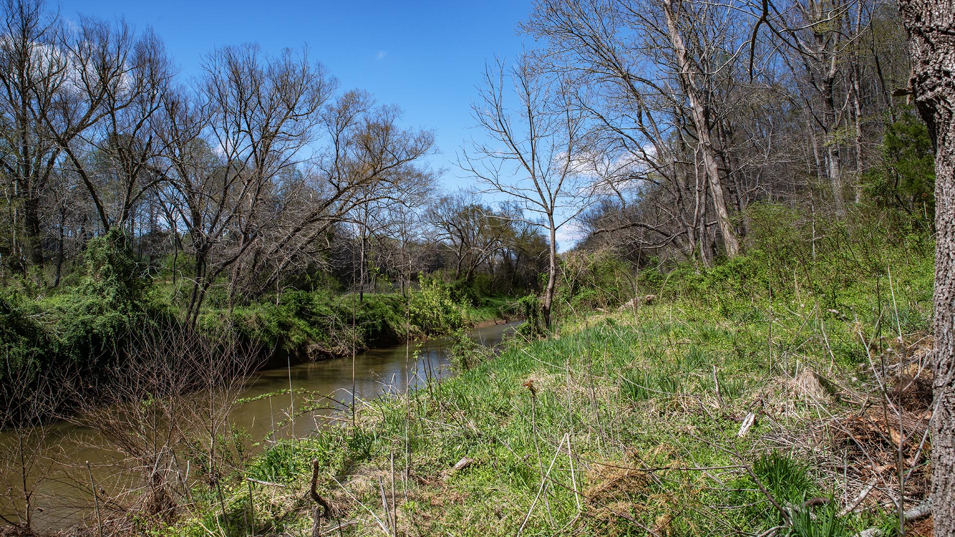 Riverfront home for sale in Madison County VA