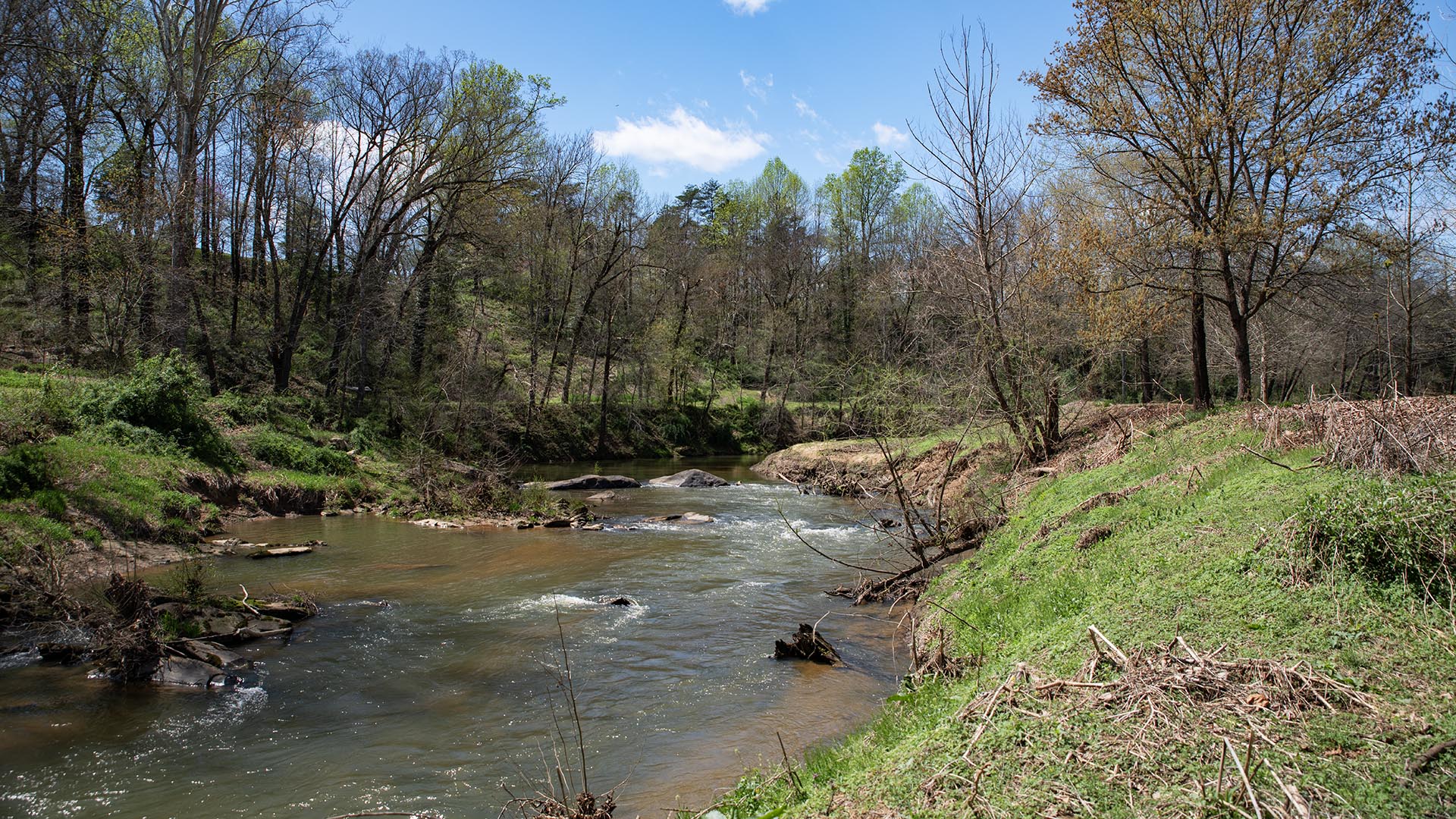 Riverfront home for sale in Madison County VA