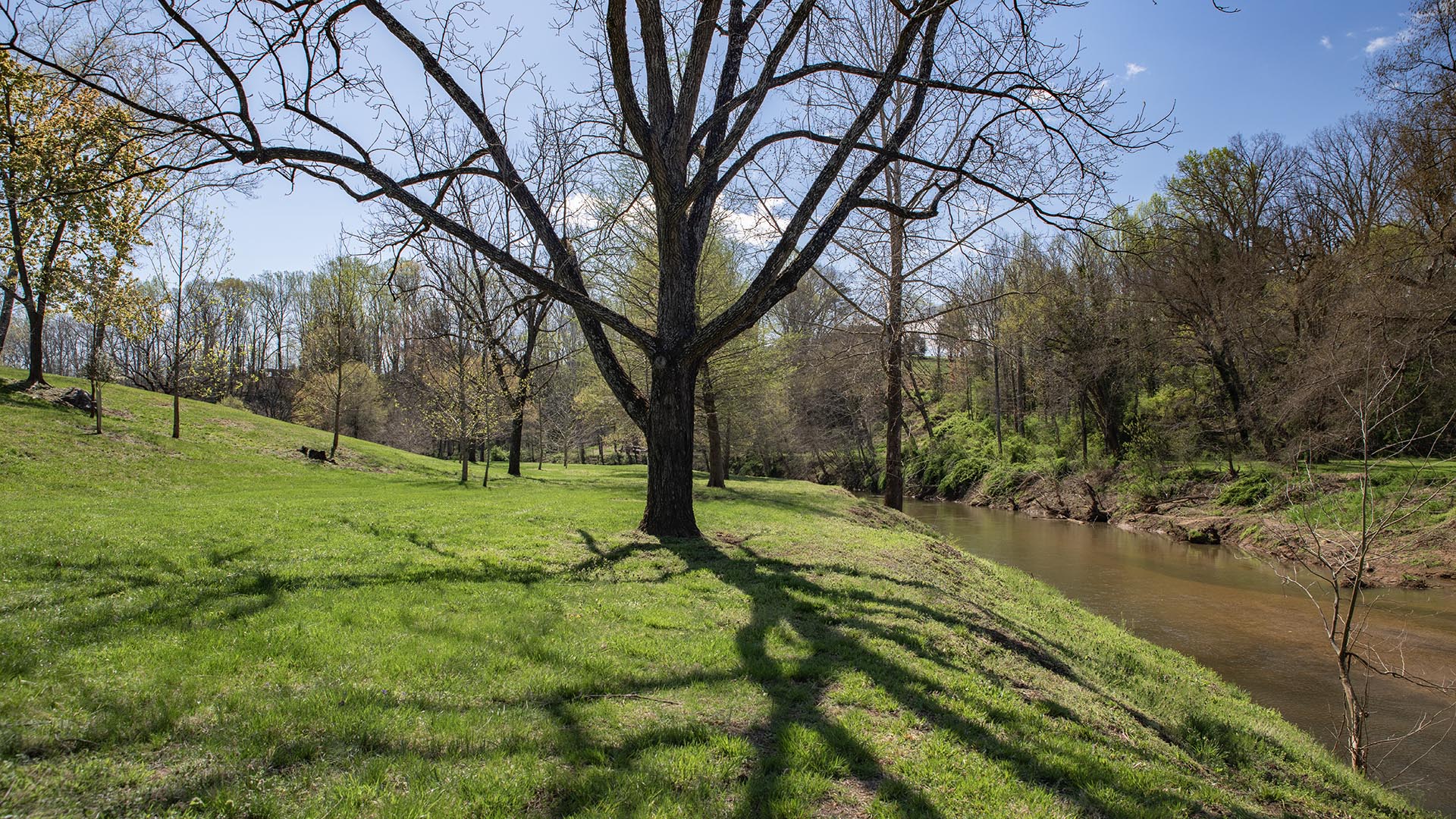 Riverfront home for sale in Madison County VA