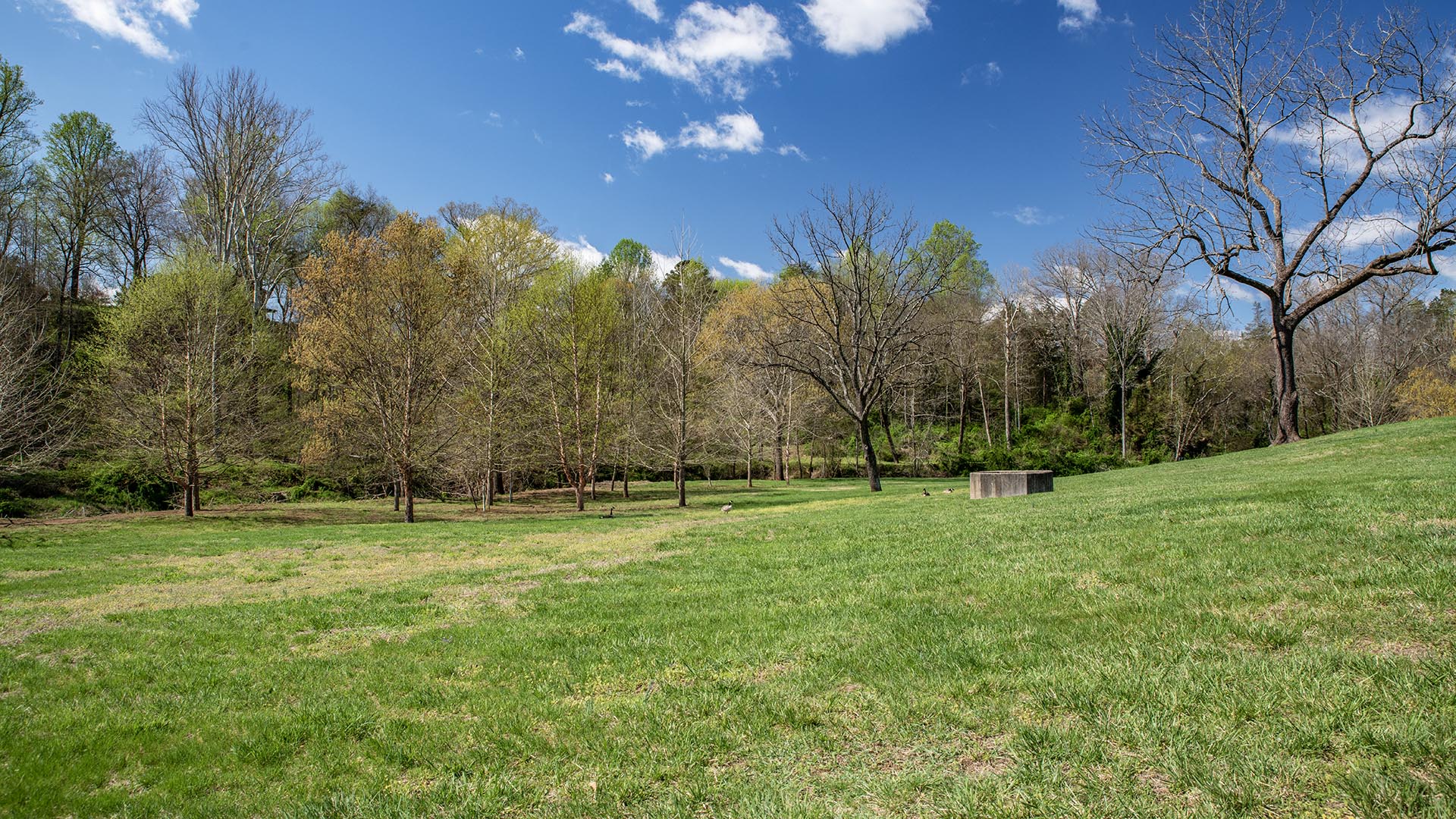 Riverfront home for sale in Madison County VA