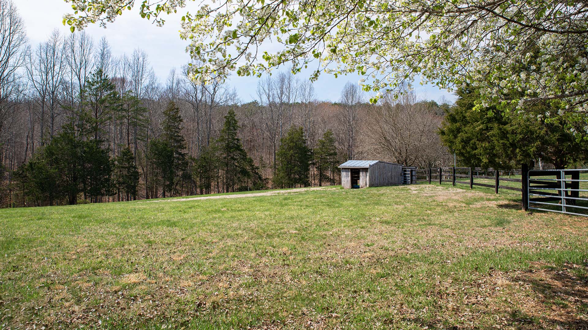 small farm for sale in Virginia