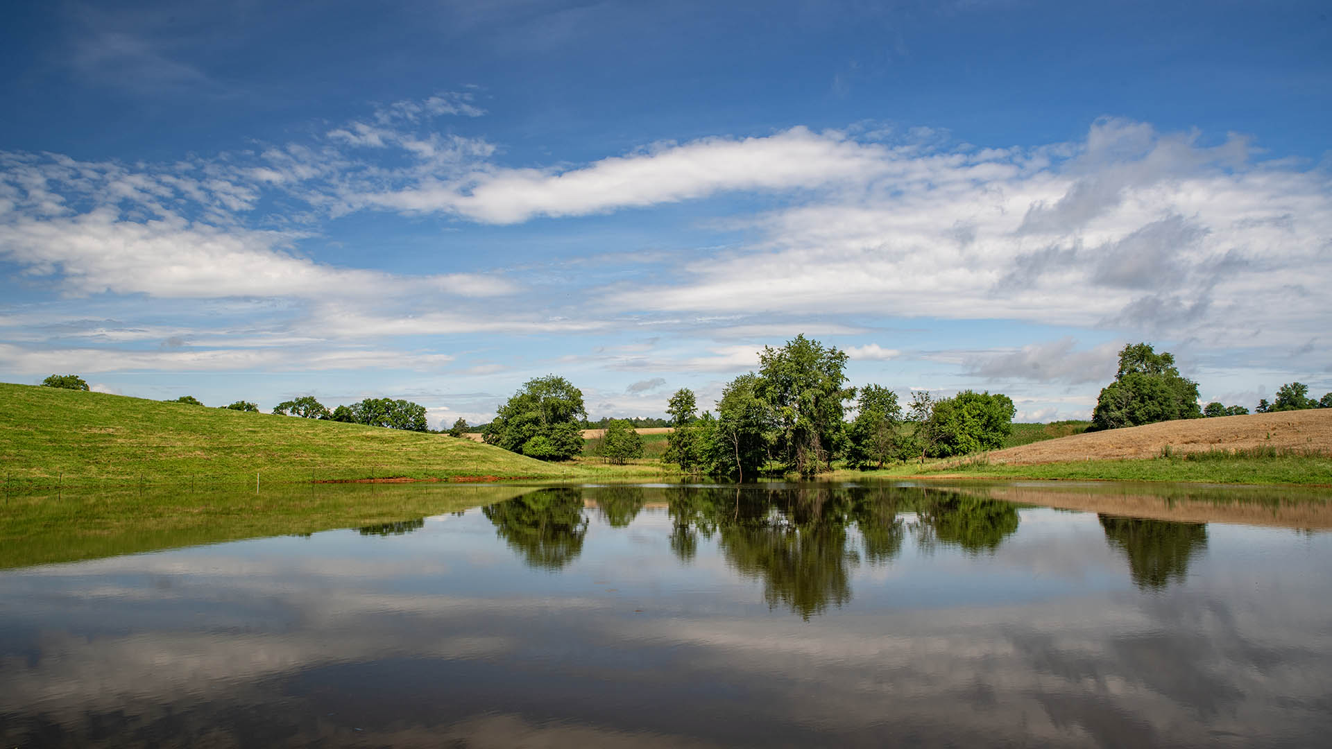  Beautiful Virginia Farm and Historic Home for sale in Culpeper County VA