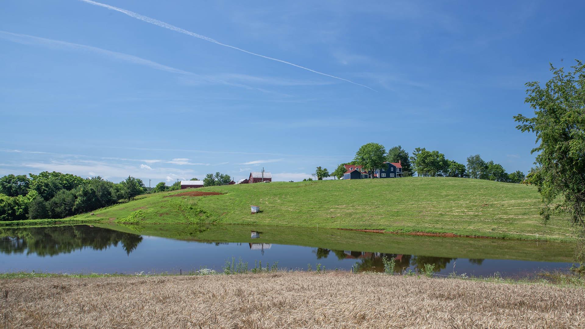  Beautiful Virginia Farm and Historic Home for sale in Culpeper County VA