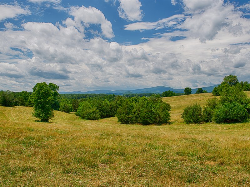 Madison County VA Land for Sale Gayle Harvey Real Estate