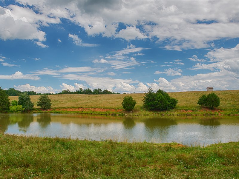 Madison County VA Land for Sale Gayle Harvey Real Estate