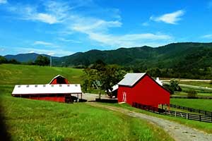 Charlottesville Real Estate for Sale