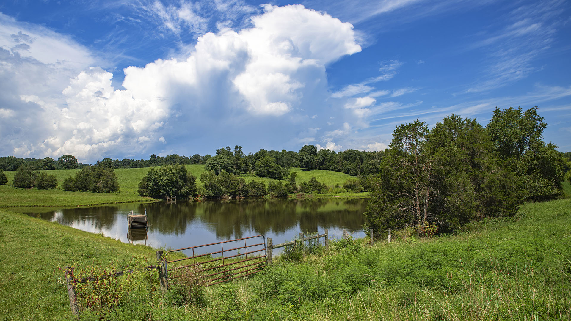 Mount Fern Farm - Large Farm for Sale in Madison County VA